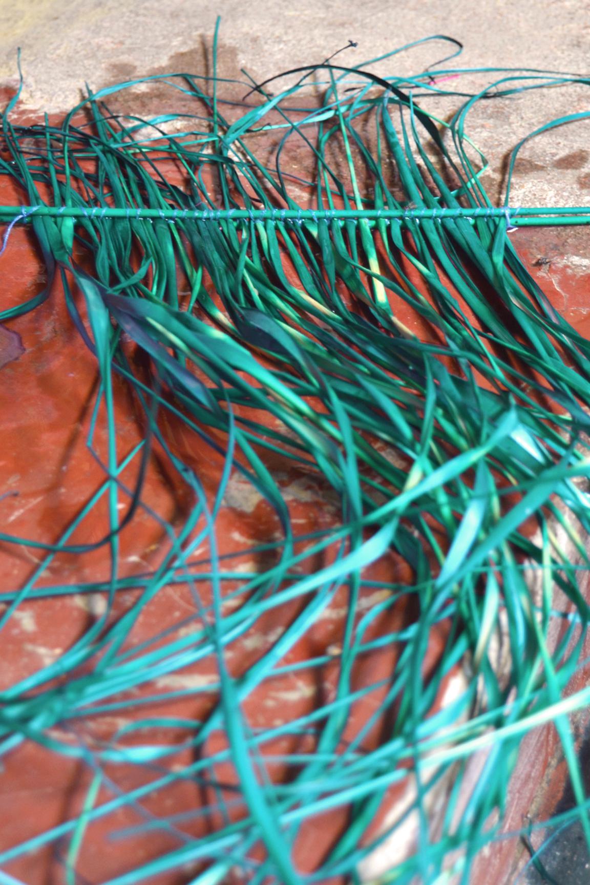 D'source Process Pankha D'Source Digital Online Learning